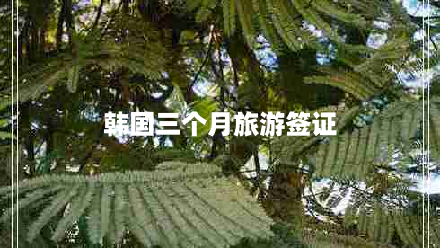 韓國(guó)三個(gè)月旅游簽證