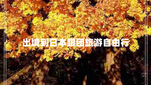 出境到日本跟團(tuán)旅游自由行