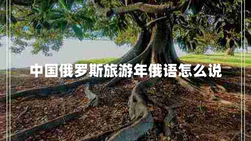 中國俄羅斯旅游年俄語怎么說