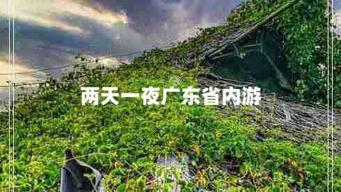 兩天一夜廣東省內(nèi)游