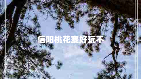 信陽桃花寨好玩不