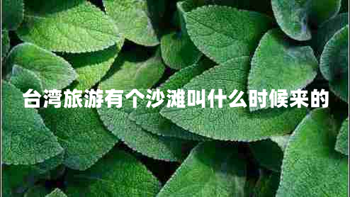 臺(tái)灣旅游有個(gè)沙灘叫什么時(shí)候來的