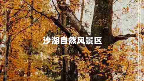 沙湖自然風(fēng)景區(qū)