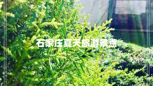石家莊夏天旅游景點