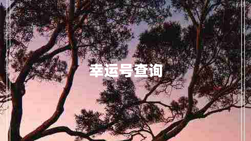 幸運號查詢