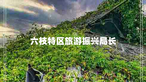 六枝特區(qū)旅游振興局長