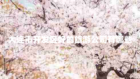 大連市開發(fā)區(qū)好的旅游公司有哪些