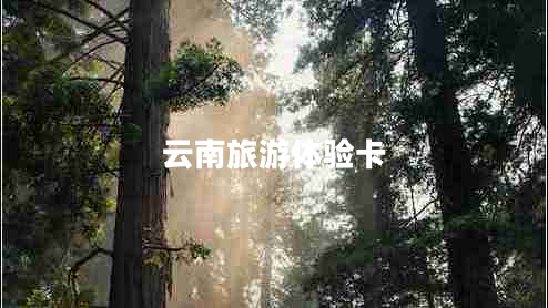 云南旅游體驗(yàn)卡