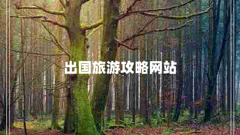 出國(guó)旅游攻略網(wǎng)站