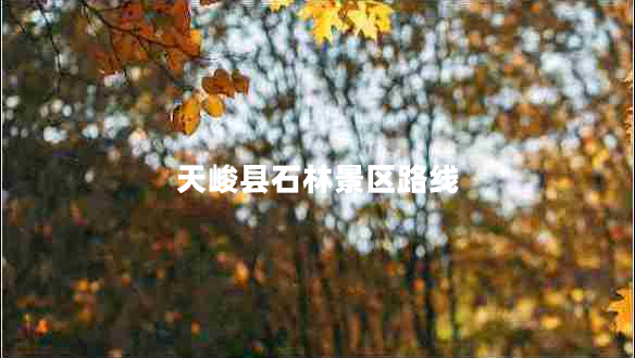 天峻縣石林景區(qū)路線
