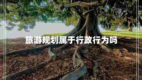 旅游規(guī)劃屬于行政行為嗎