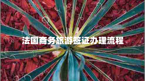法國商務旅游簽證辦理流程