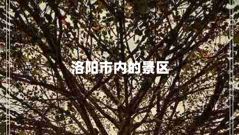 洛陽市內(nèi)的景區(qū)