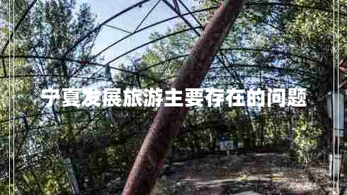 寧夏發(fā)展旅游主要存在的問題