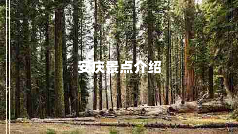 安慶景點介紹