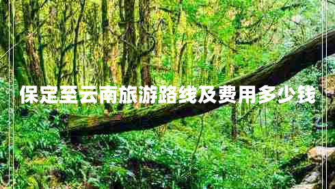 保定至云南旅游路線及費(fèi)用多少錢(qián)
