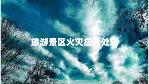 旅游景區(qū)火災(zāi)應(yīng)急處理
