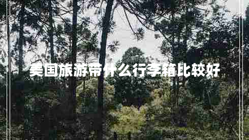 美國(guó)旅游帶什么行李箱比較好