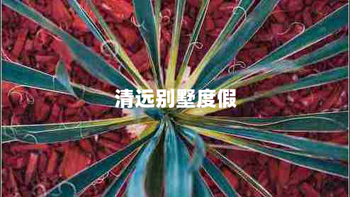 清遠別墅度假