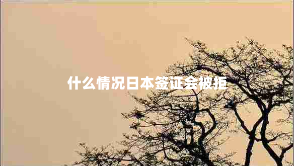 什么情況日本簽證會(huì)被拒