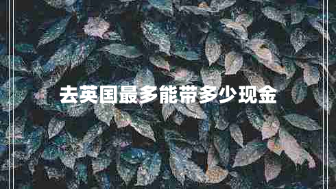 去英國(guó)最多能帶多少現(xiàn)金