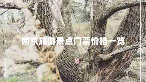 南京旅游景點(diǎn)門票價(jià)格一覽