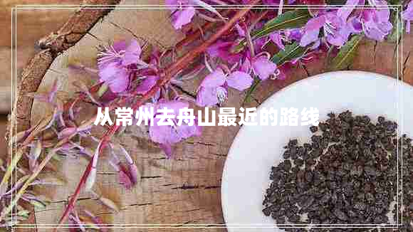 從常州去舟山最近的路線