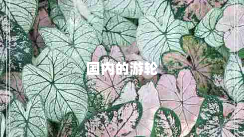 國(guó)內(nèi)的游輪