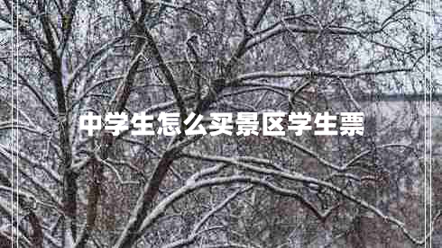 中學(xué)生怎么買景區(qū)學(xué)生票