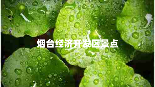 煙臺(tái)經(jīng)濟(jì)開發(fā)區(qū)景點(diǎn)