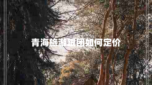 青海旅游跟團如何定價