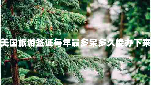 美國(guó)旅游簽證每年最多呆多久能辦下來(lái)
