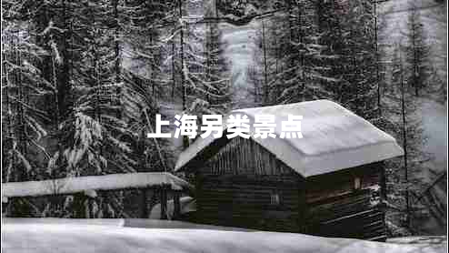 上海另類景點(diǎn)