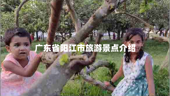 廣東省陽江市旅游景點(diǎn)介紹