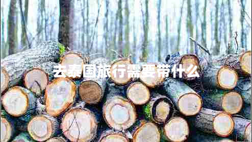 去泰國(guó)旅行需要帶什么