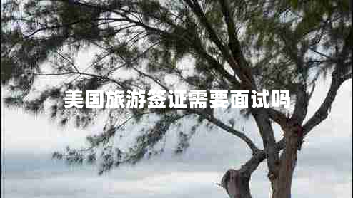 美國(guó)旅游簽證需要面試嗎