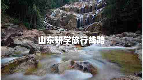 山東研學旅行線路