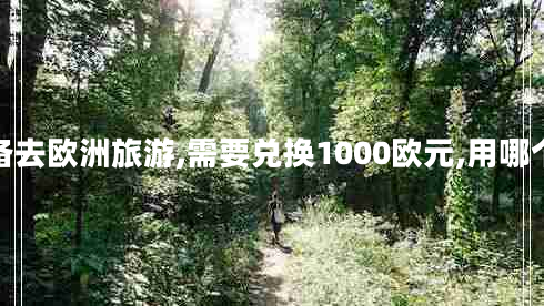 你準(zhǔn)備去歐洲旅游,需要兌換1000歐元,用哪個價格
