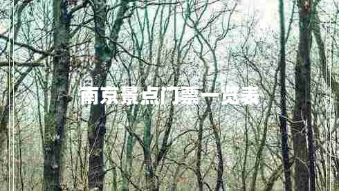 南京景點門票一覽表