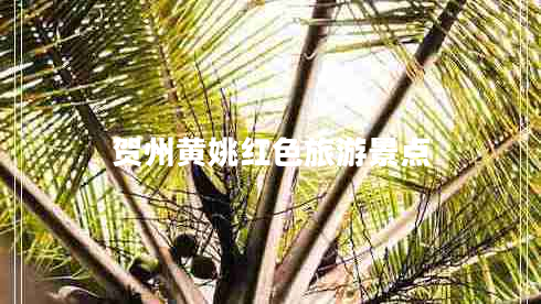 賀州黃姚紅色旅游景點