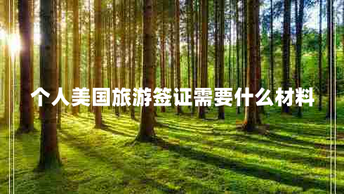 個(gè)人美國(guó)旅游簽證需要什么材料