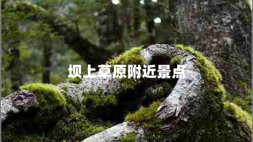 壩上草原附近景點