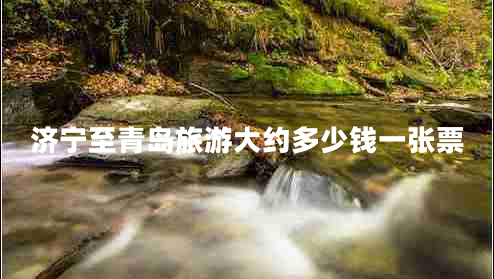濟(jì)寧至青島旅游大約多少錢一張票