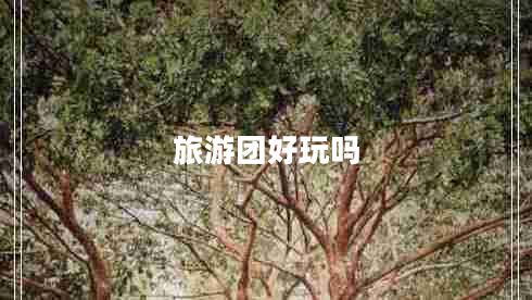 旅游團(tuán)好玩嗎