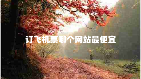 訂飛機(jī)票哪個網(wǎng)站最便宜