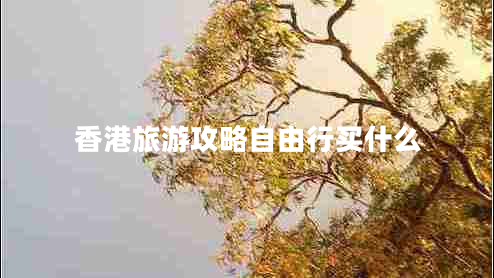 香港旅游攻略自由行買什么