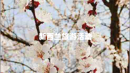 新西蘭旅游活動