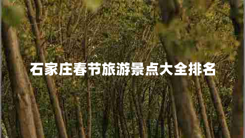 石家莊春節(jié)旅游景點大全排名