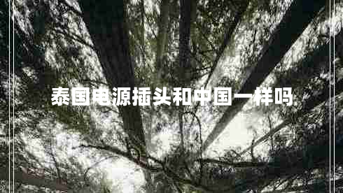 泰國(guó)電源插頭和中國(guó)一樣嗎