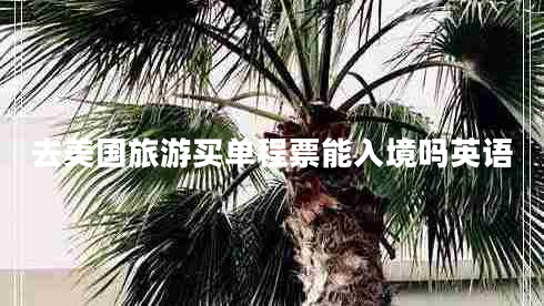去美國旅游買單程票能入境嗎英語